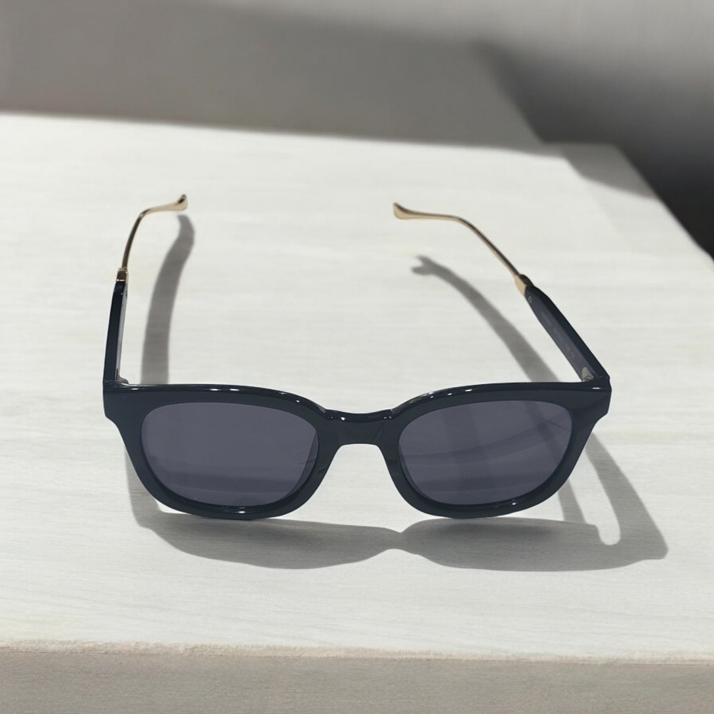 Sungait Black and Gold Sunglasses